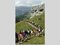 Jungfrau-Marathon 2004: Impression von der Moraene